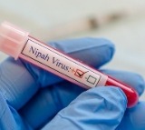 425 under surveillance as Kerala battles fresh Nipah virus outbreak