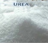 KTR demands probe into urea shortage in Telangana