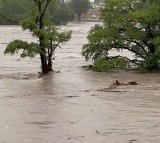 Death toll in Texas flood rises to over 65