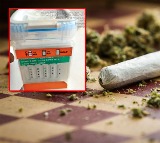 Telangana Police Using New Tech to Detect Ganja Users