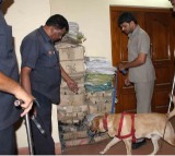 Bomb threats at four places in Hyderabad, searches on