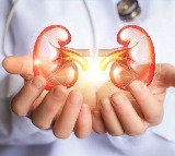Kidneys Healthy Signs Morning Indicators