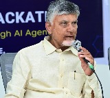 Chandrababu Condemns YSRCP Leaders Comments on Vemireddy Prasanthi Reddy