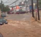 Torrential rain triggers flash flooding in New York, New Jersey