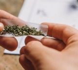 Rahul Tejas role investigated in drugs case