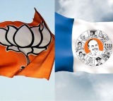 BJP Activist Tortured by YSRCP Workers for Refusing to Say Jai Jagan