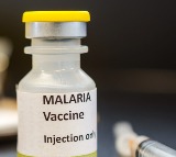 India developing indigenous multi-stage Malaria vaccine 'AdFalciVax'