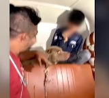 Pitbull Attack in Mumbai Owner Filmed as Dog Bites Crying Boy
