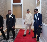 Chandrababu Naidu Returns to AP After Singapore Tour