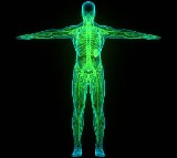 Protein Deficiency Signs and Symptoms