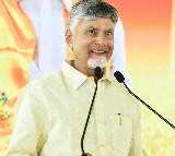 Chandrababu Naidu Arrives in Vijayawada After Singapore Trip