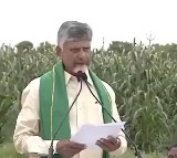 Chandrababu Naidu Launches Annadata Sukhibhava Scheme for Farmers