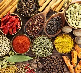 Indian Spices for Longevity and Health