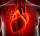 Poverty Inflammation Linked to Heart Disease New Study