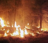 Massive wildfire in California; hundreds of structures at risk
