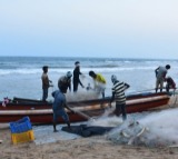 14 TN fishermen arrested by Sri Lankan Navy