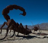 Black scorpion sting injects 25 distinct deadly toxins: IASST study