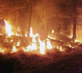 France battles wildfire larger than Paris; one dead as blaze spreads rapidly