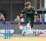 Hasan Nawaz’s unbeaten 63 guides Pakistan to five-wicket win in ODI opener against Windies