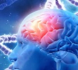 Alzheimers Disease Mystery Solved Lithium Deficiency Key Harvard Study