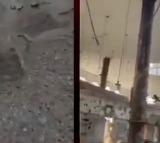 Air Force Shares Glimpse Of Attack On Terror Camps During Op Sindoor