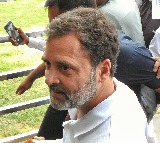 A step back from decades of humane, science-backed policy: LoP Rahul Gandhi on SC order to remove all stray dogs