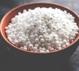 Saggubiyyam Benefits But There is a Catch