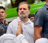 Rahul Gandhi Criticizes Supreme Court Order on Stray Dogs