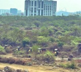 SC asks Telangana to restore green cover on Kancha Gachibowli land