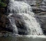 Sariya Waterfall Tourists Rescued in AP