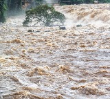 IMD Alert Flash Flood Warning Issued for Several AP Districts