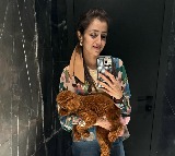 Trisha Krishnan drops a glimpse of her 'tiny moments, with BIG smiles'