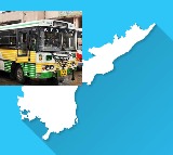 AP Free Bus Scheme Sees Huge Response