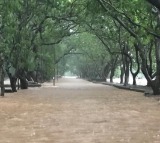 Mumbai's Mithi River crosses danger mark; beaches closed amid heavy rain, high tide
