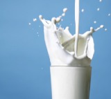 India’s dairy exports record 80 per cent jump in 2024-25