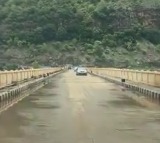TDP MLA B Rajasekhara Reddy Allegedly Attacks Forest Officials in Srisailam