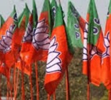 BJP President Election Delay Reason Explained
