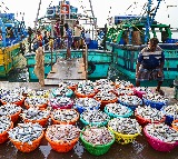 India's seafood exports touch $7.45 billion