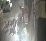 Street Dogs Attack Man in Pimpri Chinchwad Caught on CCTV