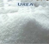 Urea shortage hits Telangana farmers hard