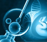 Genetic testing of IVF embryos can help women over 35 conceive faster says Study