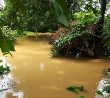 IMD issues heavy rainfall warning for Odisha amid flood crisis