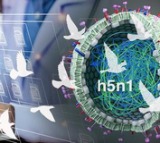 New genAI tool to detect bird flu virus exposure, boost H5N1 surveillance