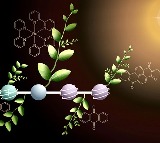 Basel University Scientists Create Solar Energy Fuel