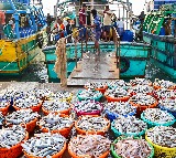 India’s shrimp exports to drop sharply due to US tariffs, alternative markets to offer support