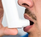 Metals, sulphate in air pollution mixture may worsen asthma