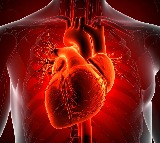 Common heart attack drug may raise death risk in some women: Study