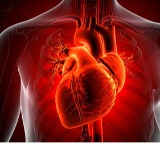Beta Blockers Heart Attack Drugs May Harm Women
