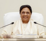 Mayawati's BSP gears up for Bihar elections, to contest solo