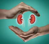 Kidney Health Best Drinks to Improve Kidney Health